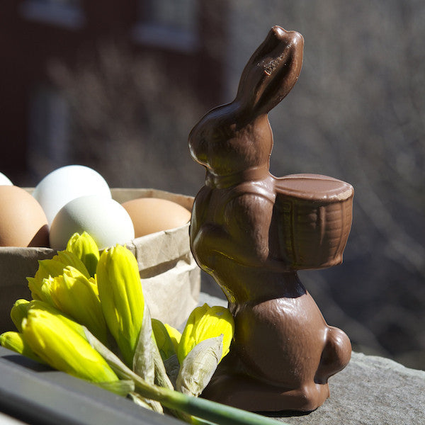 Large Chocolate Bunny